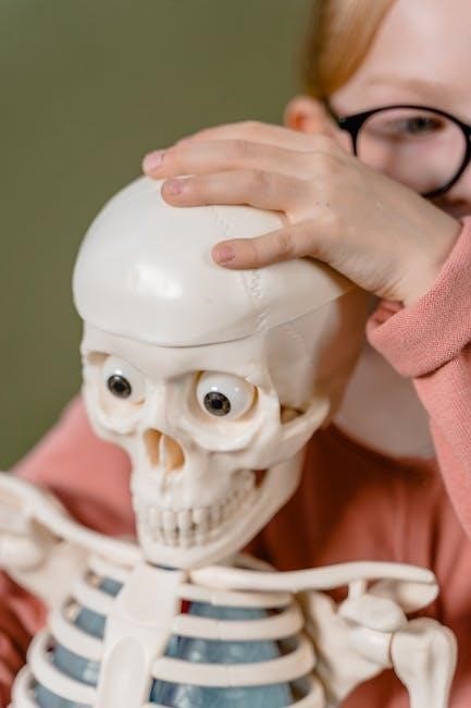 human anatomy and physiology notes pdf
