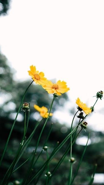 petals in the wind pdf