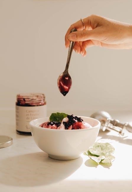 rival ice cream maker instructions pdf